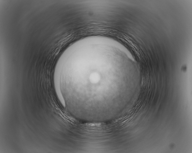 X0000116800524201001291543