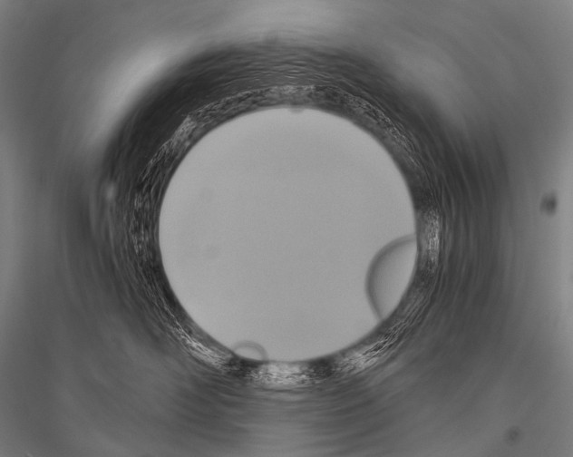 X0000116800526201001291543