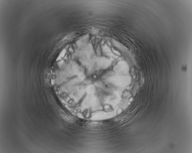 X0000116800527201001291543