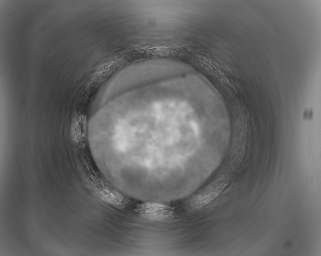 X0000116800528201001291543
