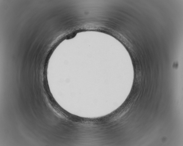 X0000116800530201001291542