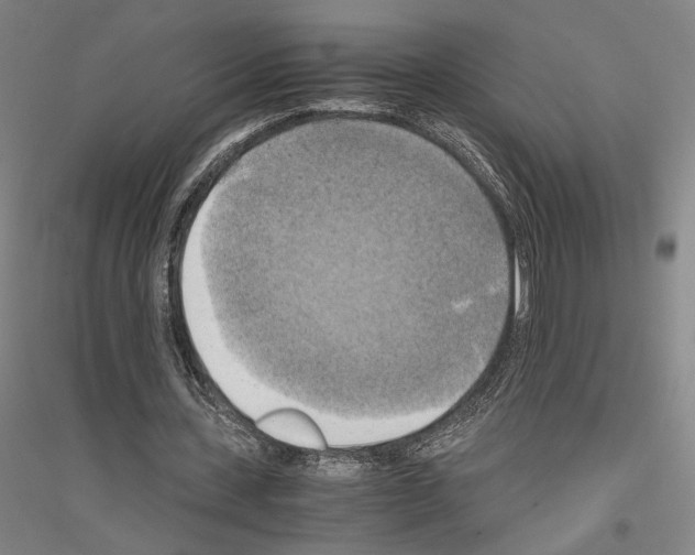 X0000116800531201001291542