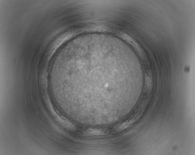 X0000116800534201001291542