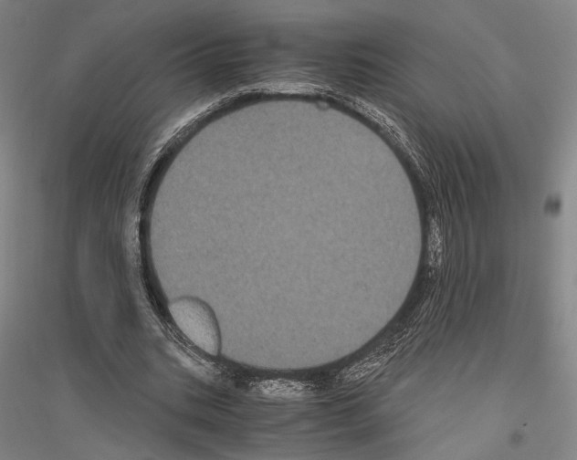 X0000116800535201001291542
