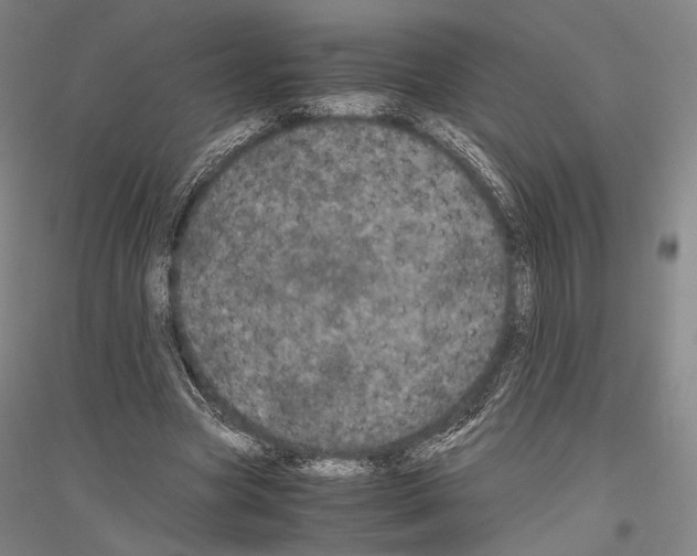 X0000116800537201001291542