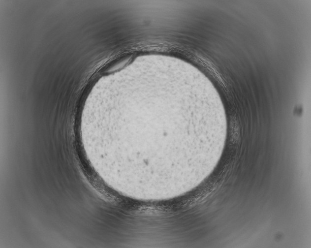 X0000116800538201001291542