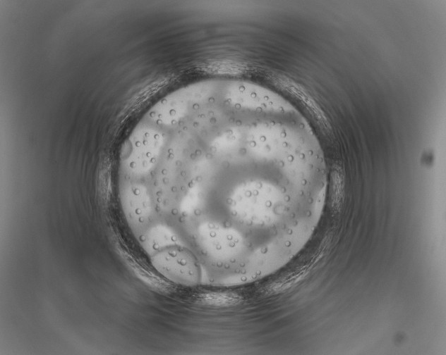 X0000116800541201001291542