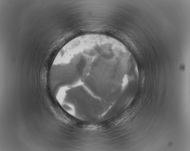 X0000116800542201001291542