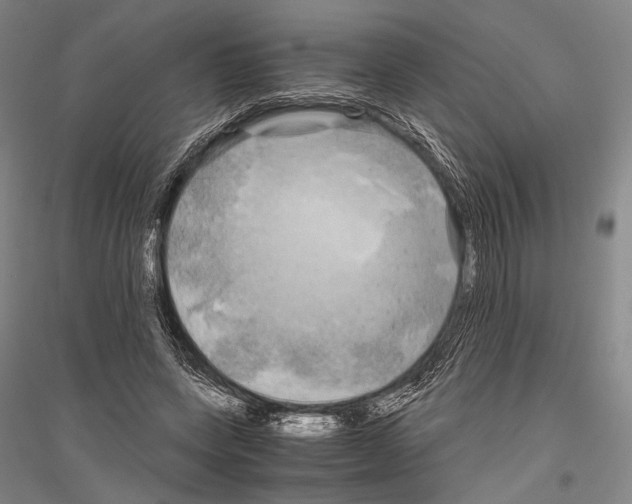 X0000116800543201001291542