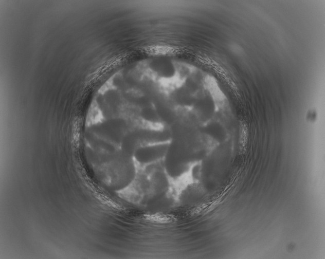 X0000116800545201001291542