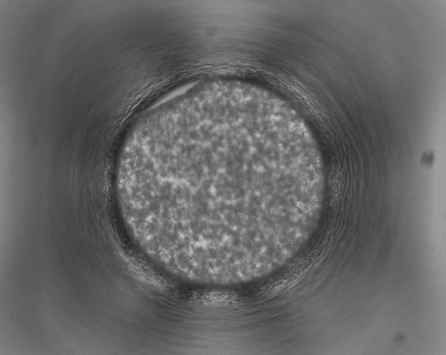 X0000116800546201001291542