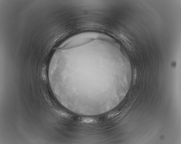 X0000116800547201001291542