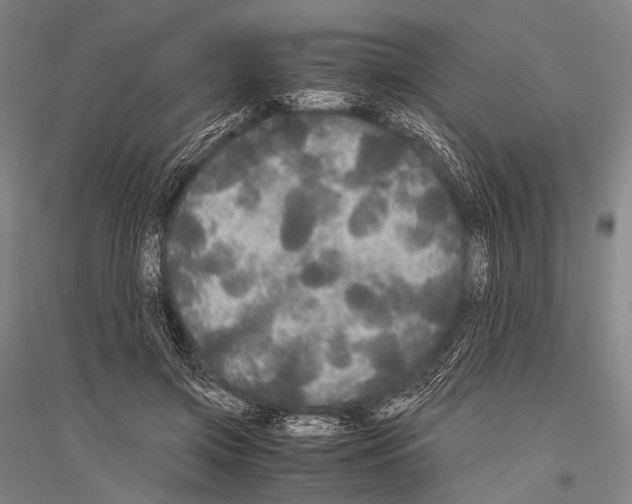 X0000116800549201001291542