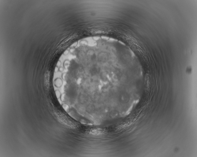 X0000116800550201001291542