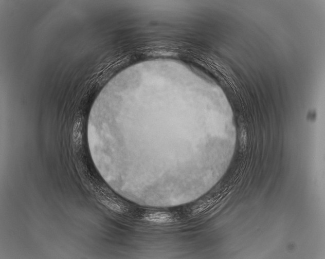 X0000116800551201001291542