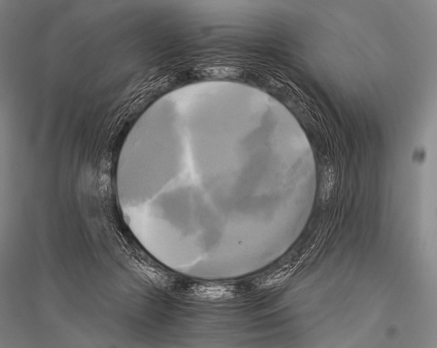 X0000116800553201001291542