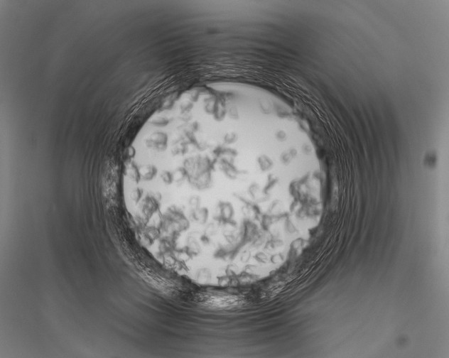 X0000116800555201001291542