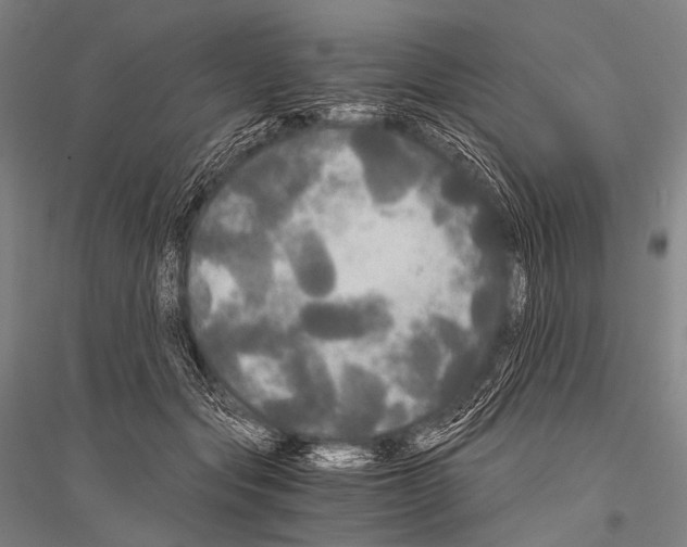 X0000116800557201001291542