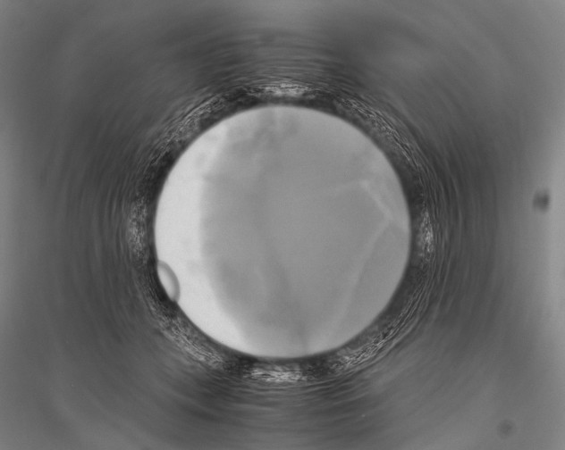 X0000116800559201001291542