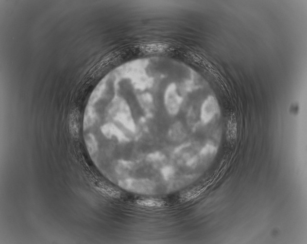 X0000116800561201001291542