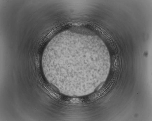 X0000116800562201001291543