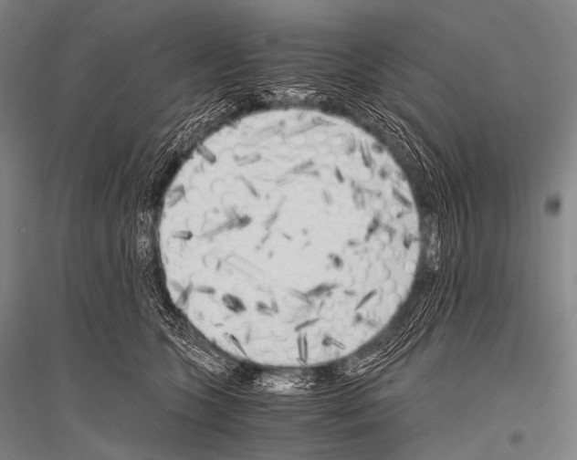 X0000116800563201001291543