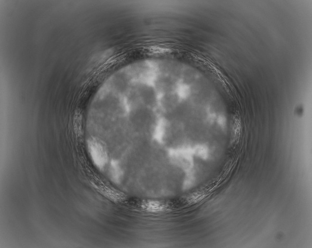 X0000116800565201001291543