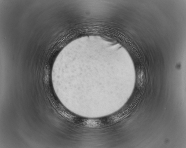 X0000116800566201001291543