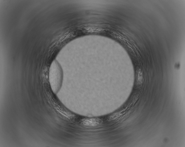 X0000116800567201001291543