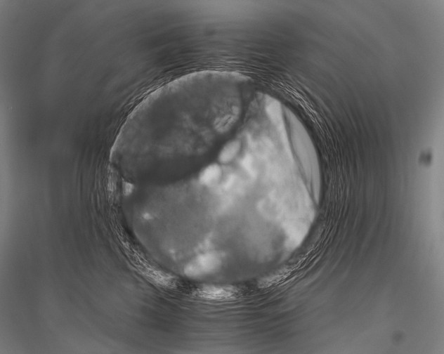 X0000116800569201001291543
