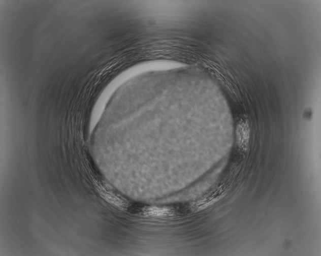 X0000116800570201001291543