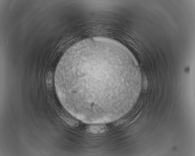 X0000116800571201001291543