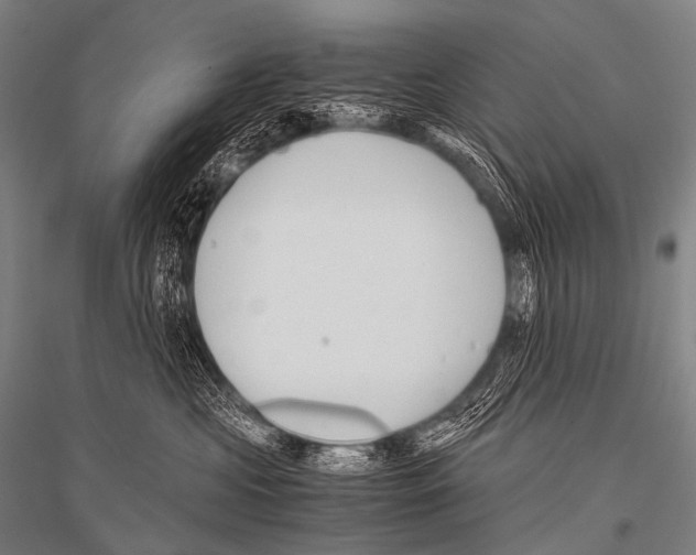 X0000116800573201001291543