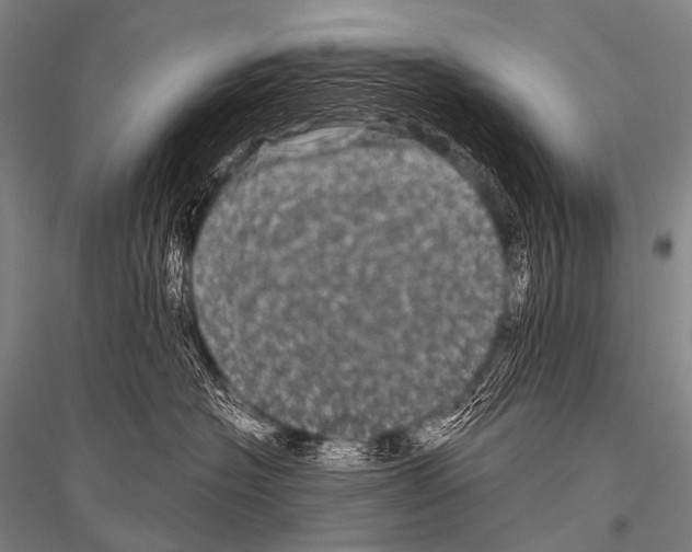 X0000116800574201001291543