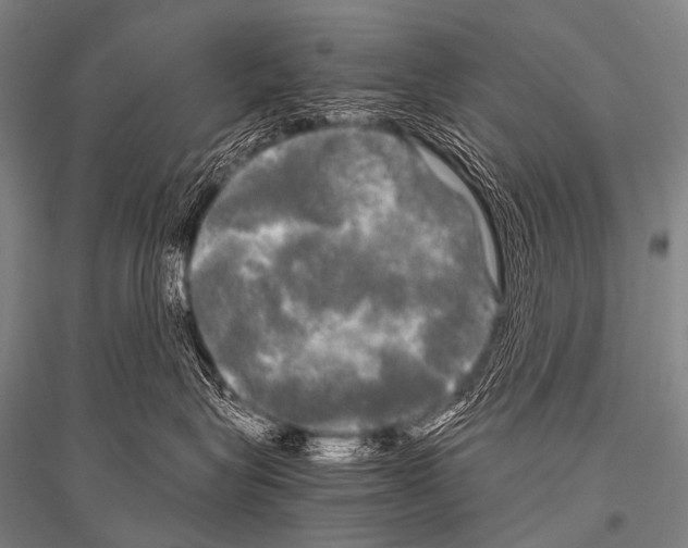 X0000116800575201001291543
