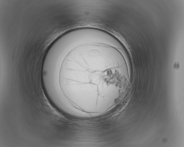 X0000116800577201001291542