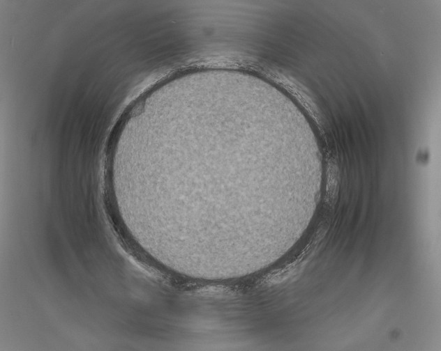 X0000116800578201001291542
