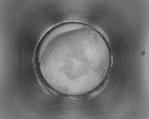 X0000116800580201001291542