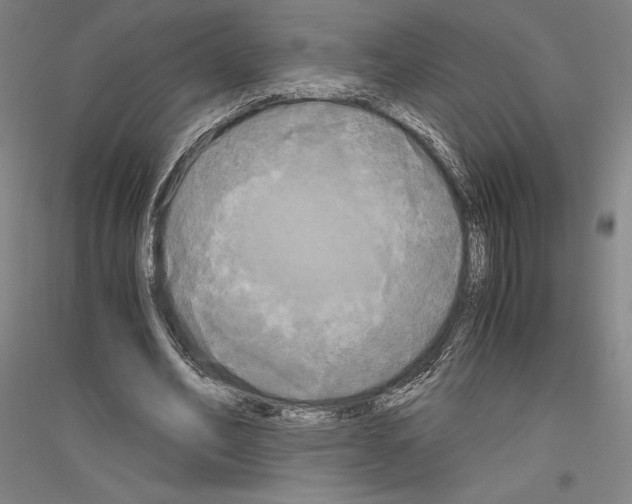 X0000116800582201001291542