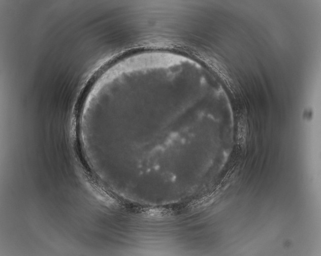 X0000116800584201001291542
