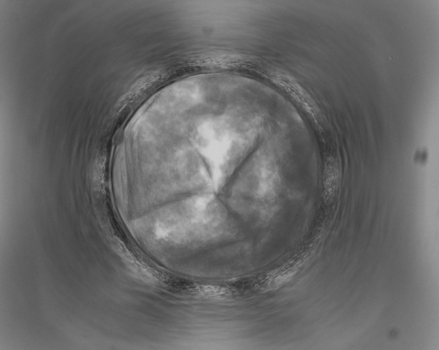 X0000116800585201001291542