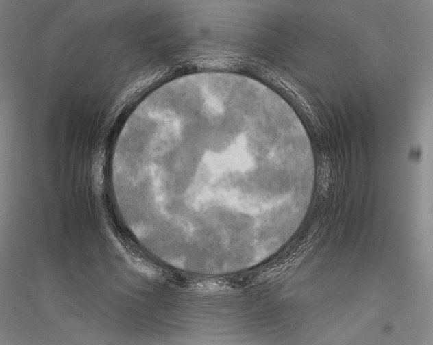 X0000116800586201001291542