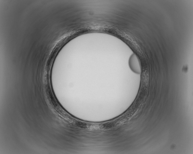 X0000116800587201001291542