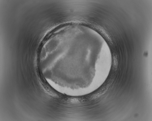 X0000116800588201001291542