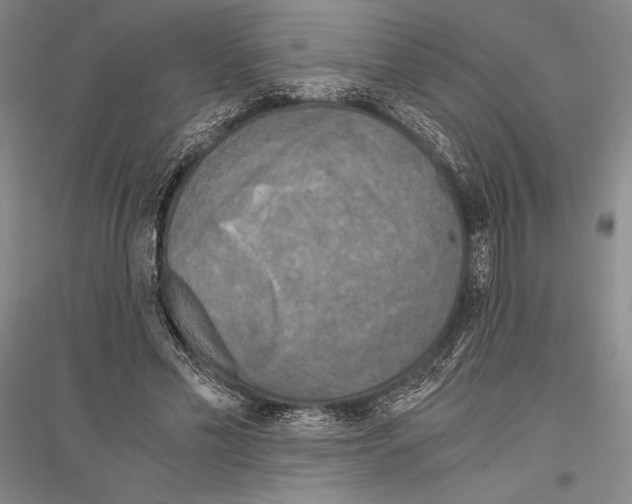 X0000116800589201001291542