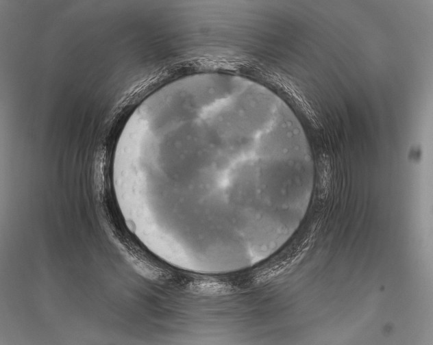 X0000116800590201001291542