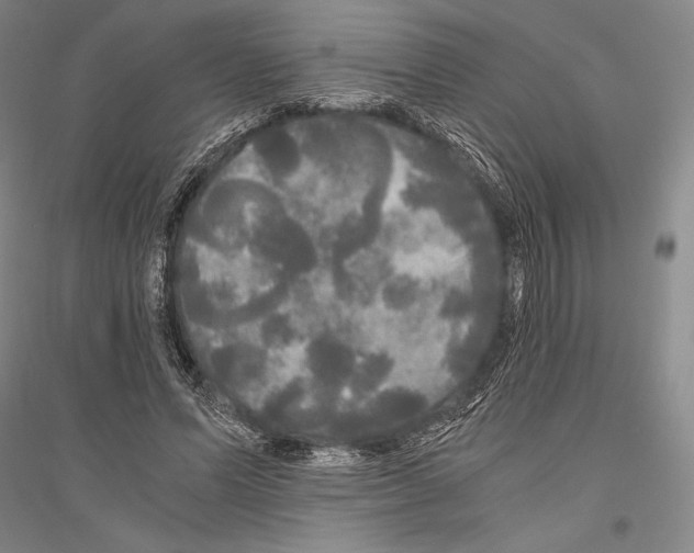 X0000116800591201001291542