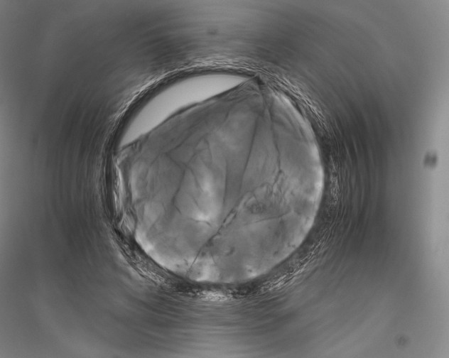 X0000116800592201001291542