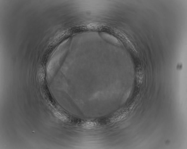X0000116800593201001291542