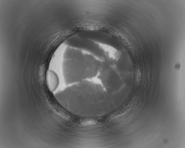 X0000116800594201001291542